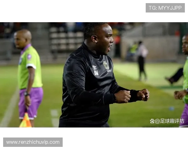 加蓬足球明星盘点他们的成就与影响力分析